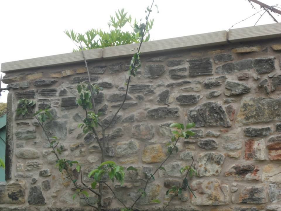 Heritage & Conservation by Bolton Roofing Contractors Ltd in Edinburgh